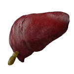 Hepatology