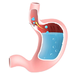 Pediatric Gastroenterology